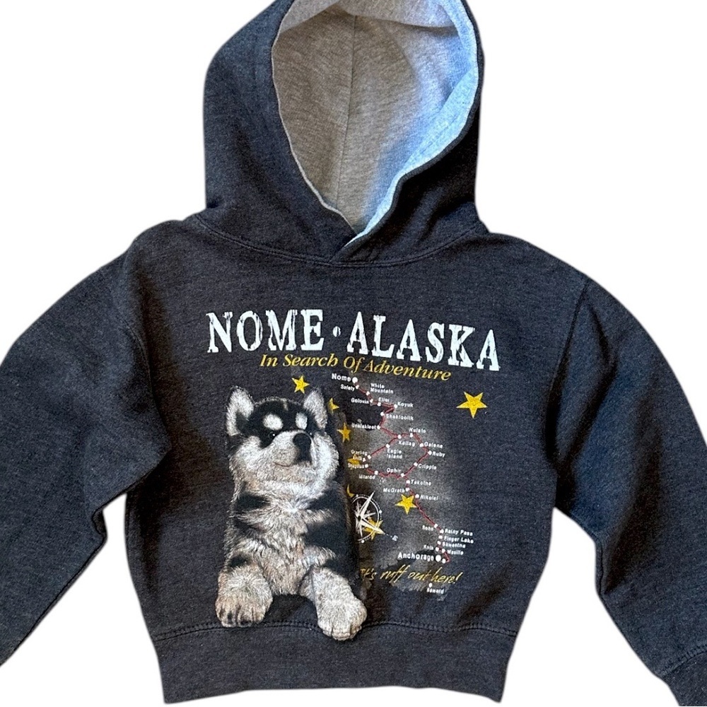 RARE Prairie Mountain Nome Alaska Toddler Hoodie Size 2T